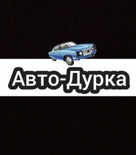 Статистика Дзен Авто-Дурка