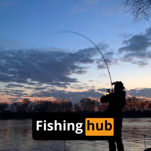 Статистика Дзен FishingHub 