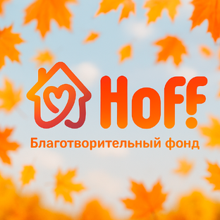 Статистика Дзен Благотворительный фонд "Хофф"