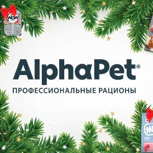 Статистика Дзен AlphaPet
