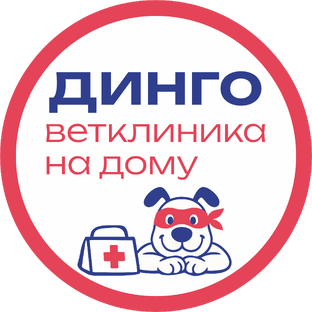 Статистика Дзен Динго | Ветклиника на дом | Онлайн консультация ветеринара, кинолога и зоопсихолога