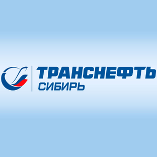 Статистика Дзен АО "Транснефть - Сибирь"