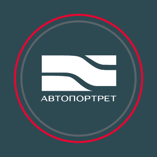 Статистика Дзен АВТОПОРТРЕТ Санкт-Петербург