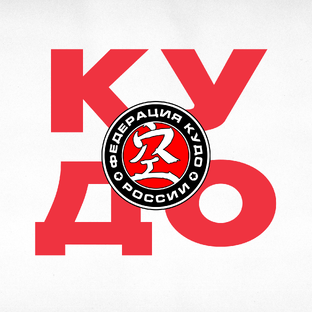 Статистика Дзен Федерация кудо России