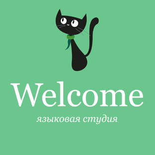 Статистика Дзен Welcome - языковая студия