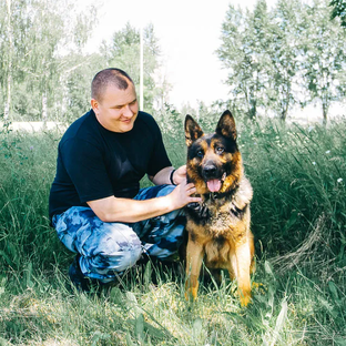 Статистика Дзен Собачья Жизнь