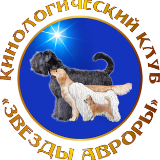 Статистика Дзен РКОО "Звезды Авроры"
