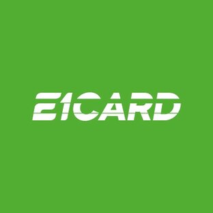 Статистика Дзен E1 CARD | Для тех, кто рулит