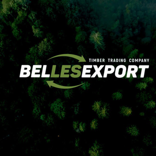 Статистика Дзен Bellesexport