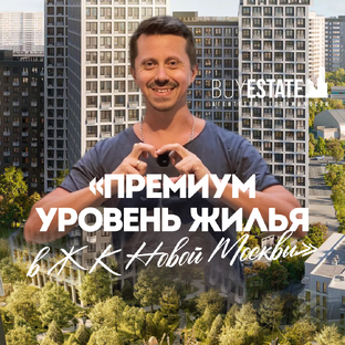 Статистика Дзен RealEstat'ович