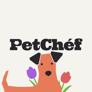 Статистика Дзен PetChef – блог о собаках