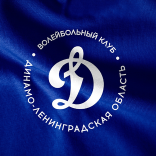 Статистика Дзен Волейбольный клуб "Динамо-ЛО"