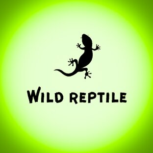 Wild reptile 🦎