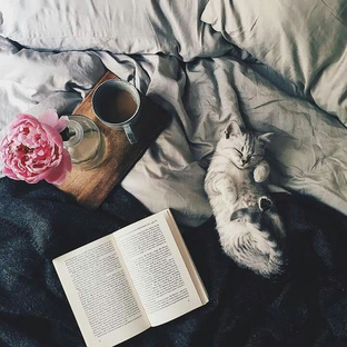 Статистика Дзен LOVELY STORIES(Арина's)