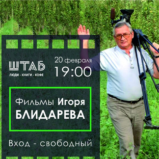 Дзен САГА статистика