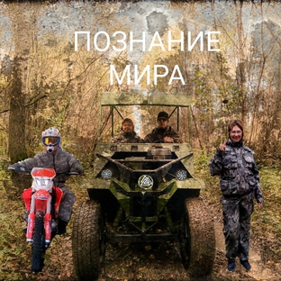 Статистика Дзен Vladi & Mari