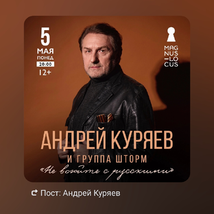 Статистика Дзен Андрей Куряев