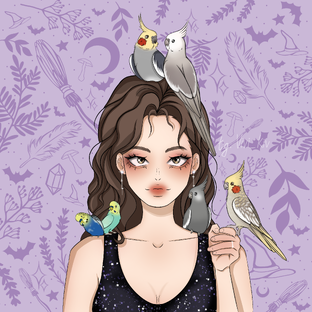 Статистика Дзен Птичья Ведьма | BirdWitch