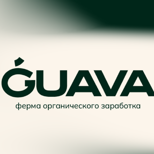 Статистика Дзен Guava invest | Инвестиции в недвижимость | Личные финансы