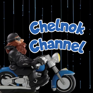 Статистика Дзен Chelnok Channel