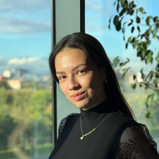 Статистика Дзен Alina_Filimonova_Psy – психолог