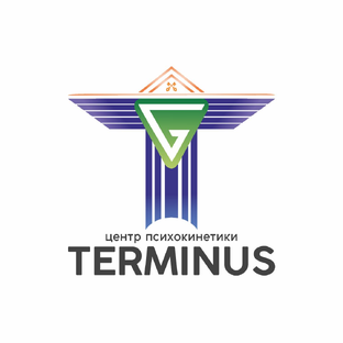 Статистика Дзен Терминус • Центр Психокинетики: магия как наука l Елена Гайдученко