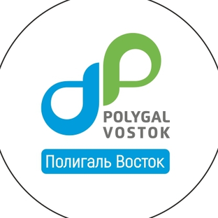 Статистика Дзен Полигаль Восток