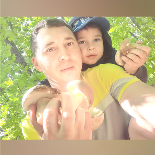 Статистика Дзен Саня за 🍄грибами. 