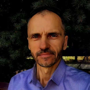 Статистика Дзен Михаил Верн | Астролог