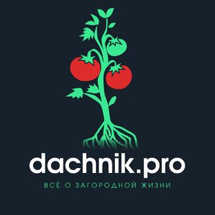 Статистика Дзен dachnik.pro