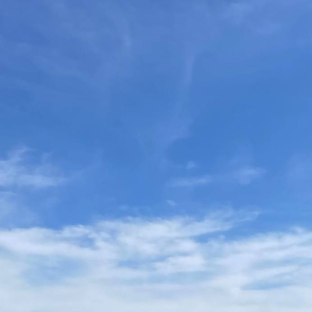 Статистика Дзен bluesky1628.