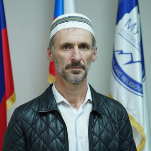 Статистика Дзен Камал Саидов.