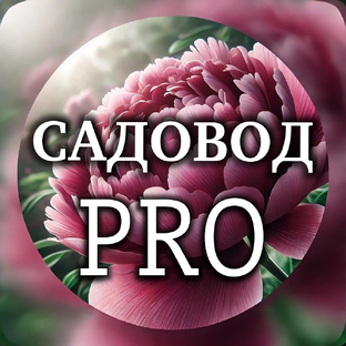 Статистика Дзен Садовод PRO: Сад и Огород Круглый Год