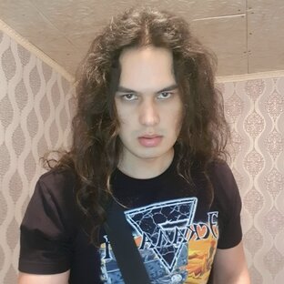 Статистика Дзен Dima Distortion 