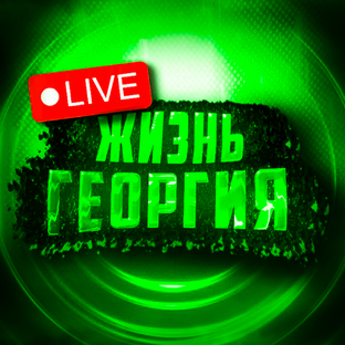 Статистика Дзен ⚡️Жизнь Георгия 