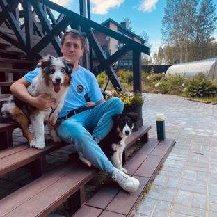 Статистика Дзен Сергей Митин