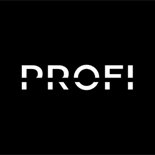 Статистика Дзен PROFI ЛСТК