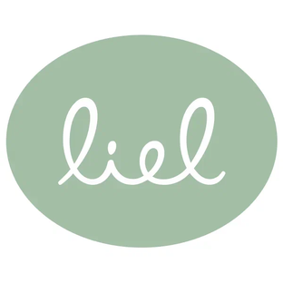 Статистика Дзен Liel - прочное начало главного