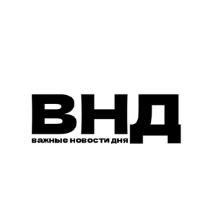 Статистика Дзен ВНД 