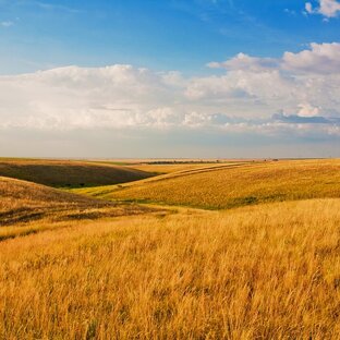 Дзен Канал Дмитрия Ильина  статистика