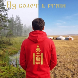 Статистика Дзен Из болот в степи