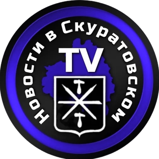 Статистика Дзен Новости в Скуратовском