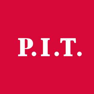 Статистика Дзен P.I.T