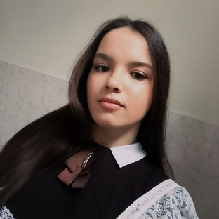 Статистика Дзен Алина