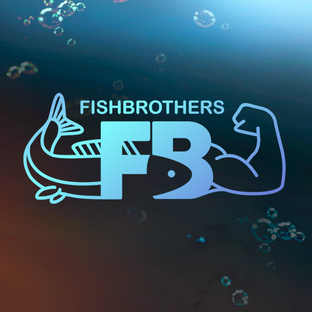 Статистика Дзен FISHBROTHERS