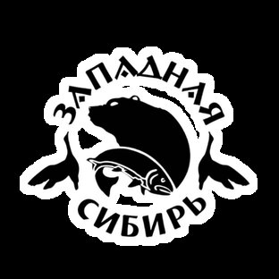 Статистика Дзен Западная Сибирь