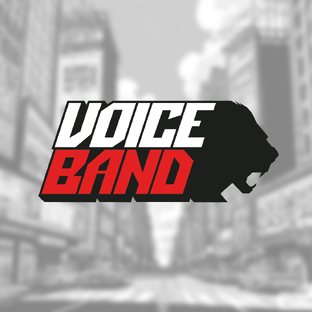 Статистика Дзен Студия и школа озвучки VoiceBand