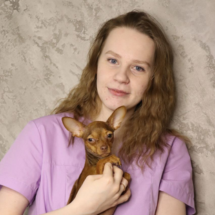 Статистика Дзен Что не так с вашим питомцем? Ветеринар Краснова Мария