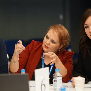 Статистика Дзен Найля Мухамеджанова