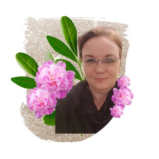 Статистика Дзен Яркий город
